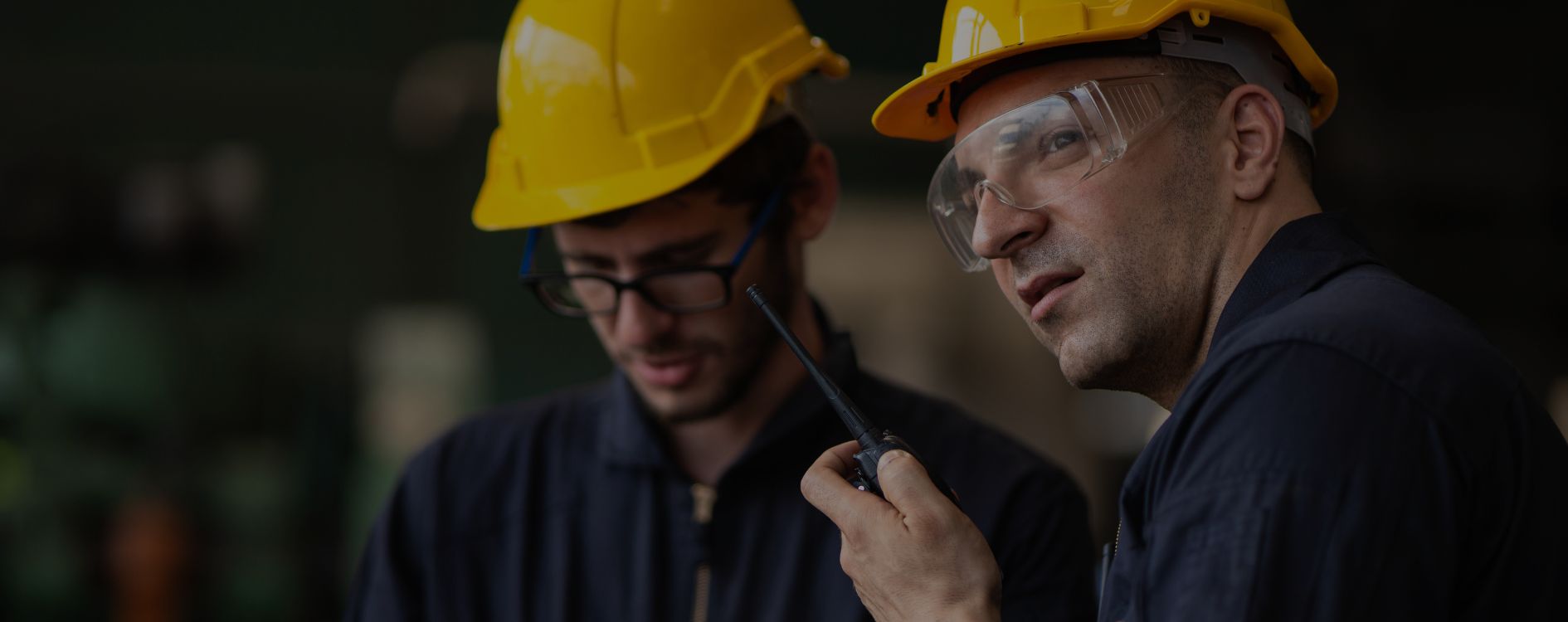 Servicios Ingenier&iacute;a